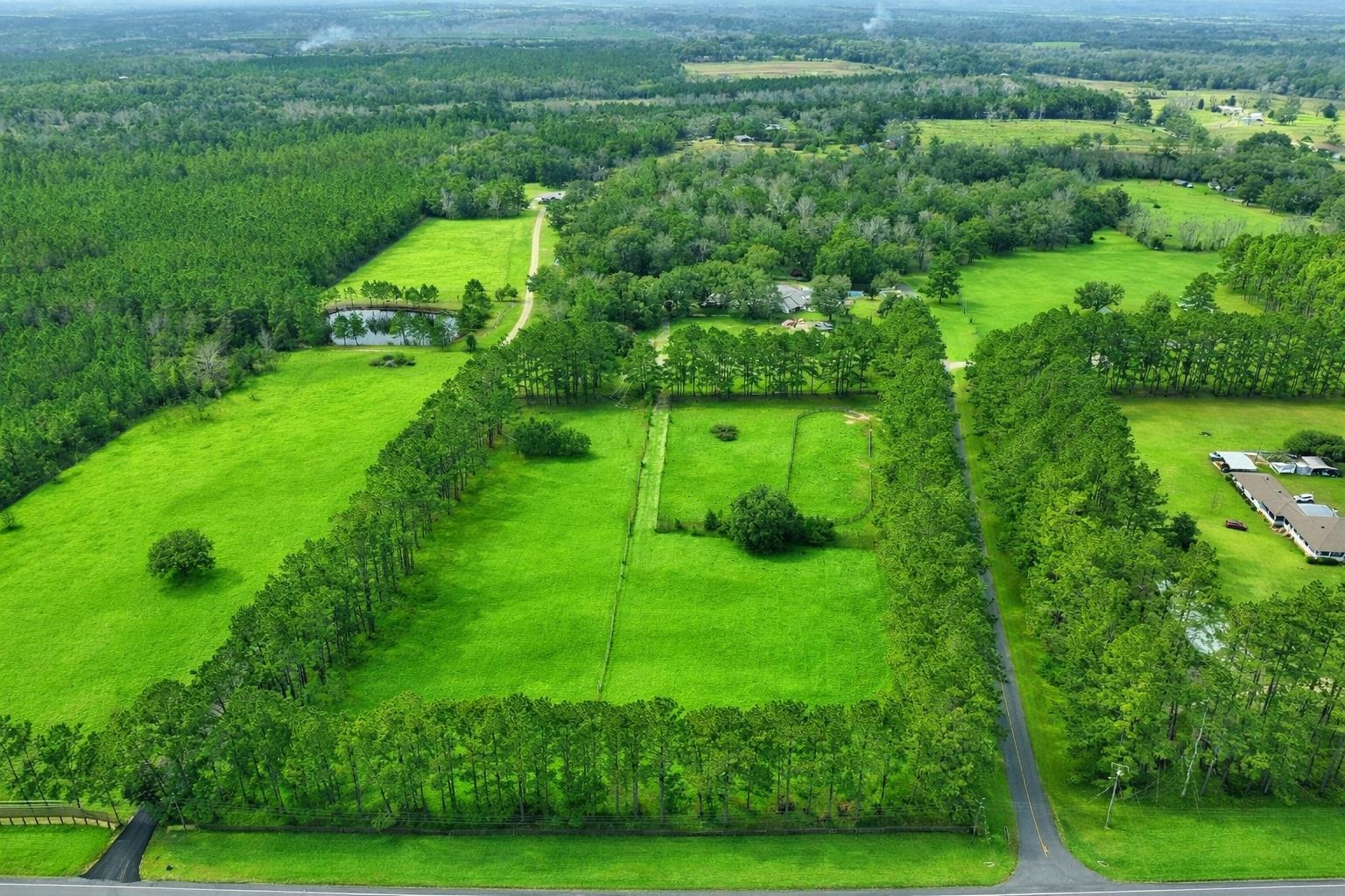 185 Omega Monticello, FL 32344 - Photo 6 of 50