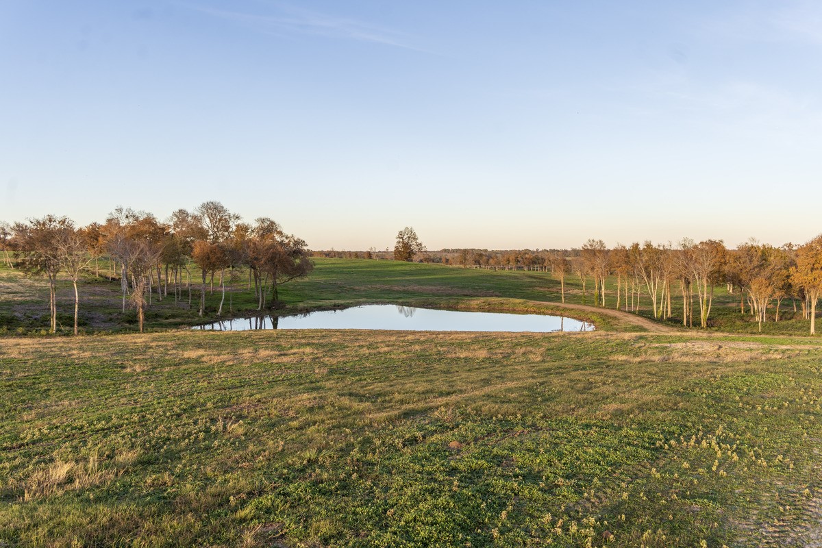 5925 Old Three Hundred Drive Washington, TX 77880 - Photo 12 of 26 Photography by Jordan Geibel