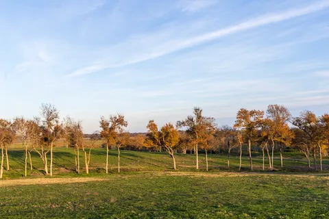 $1,398,880 | 5925 Old Three Hundred Drive, Washington, TX 77880