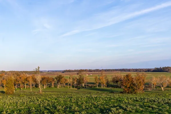 a view of a lake with houses in the back