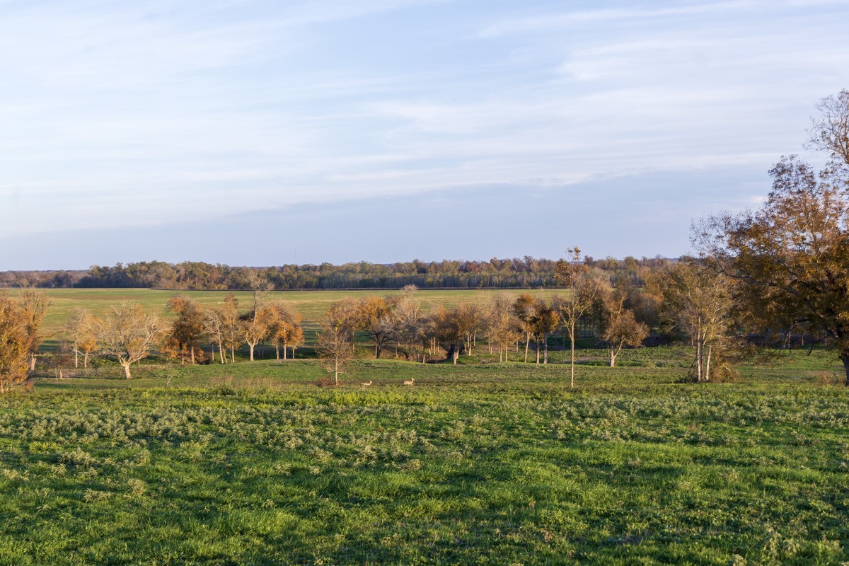 5925 Old Three Hundred Drive Washington, TX 77880 - Photo 19 of 26 Photography by Jordan Geibel