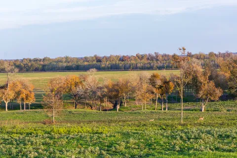 $1,398,880 | 5925 Old Three Hundred Drive, Washington, TX 77880