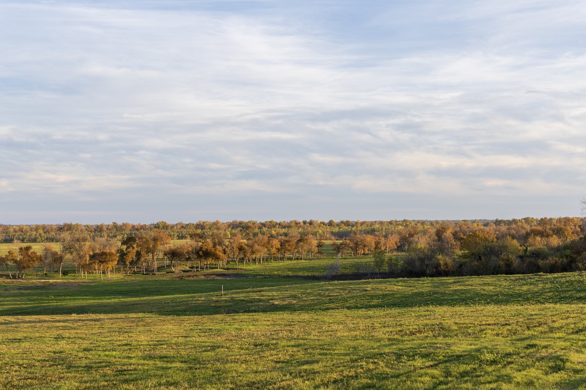 5925 Old Three Hundred Drive Washington, TX 77880 - Photo 24 of 26 Photography by Jordan Geibel