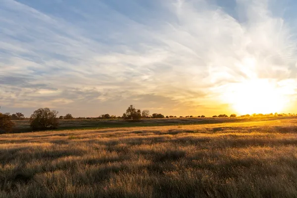 $1,398,880 | 5925 Old Three Hundred Drive, Washington, TX 77880