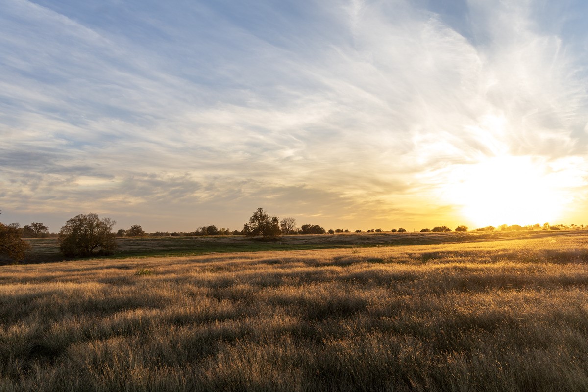 5925 Old Three Hundred Drive Washington, TX 77880 - Photo 25 of 26 Photography by Jordan Geibel