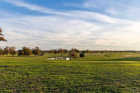 a view of a big yard with lots of green space