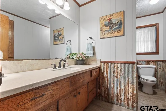 a bathroom with a sink a toilet and a mirror