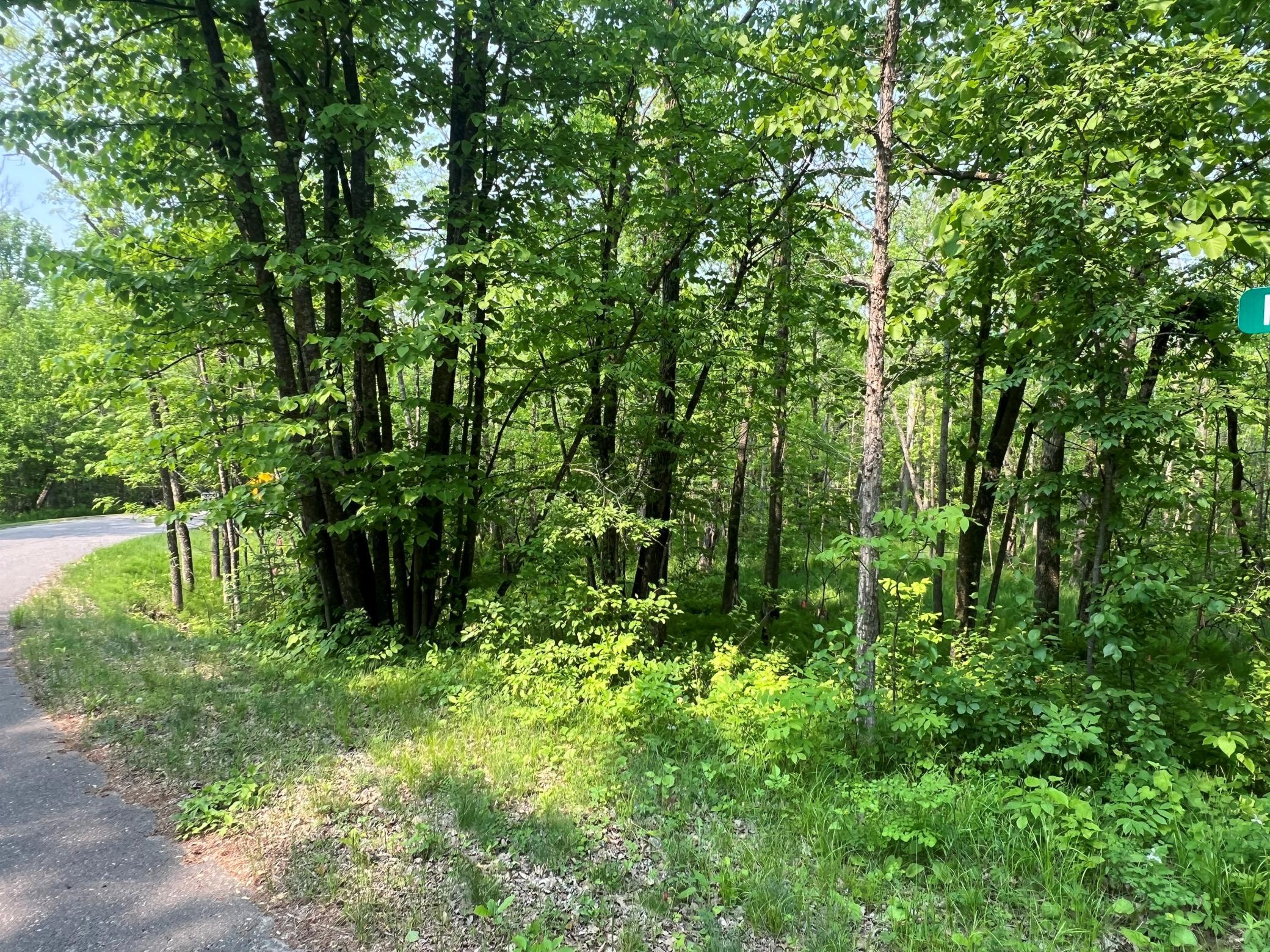 Tbd Dettbarn Road Nisswa, MN 56468 - Photo 3 of 7