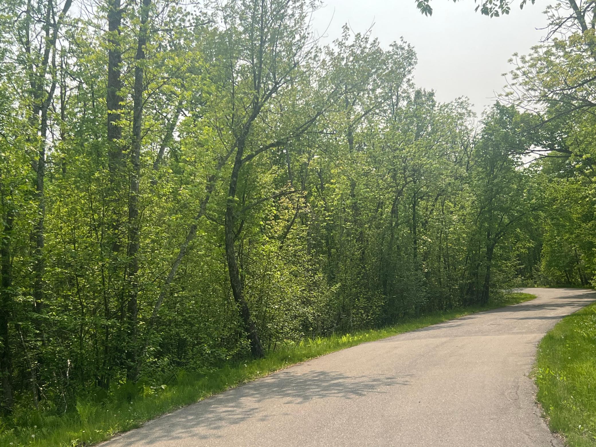 Tbd Dettbarn Road Nisswa, MN 56468 - Photo 5 of 7