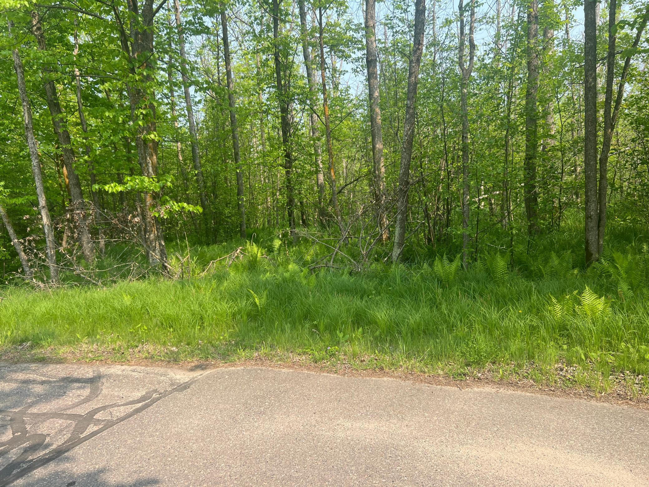 Tbd Dettbarn Road Nisswa, MN 56468 - Photo 7 of 7