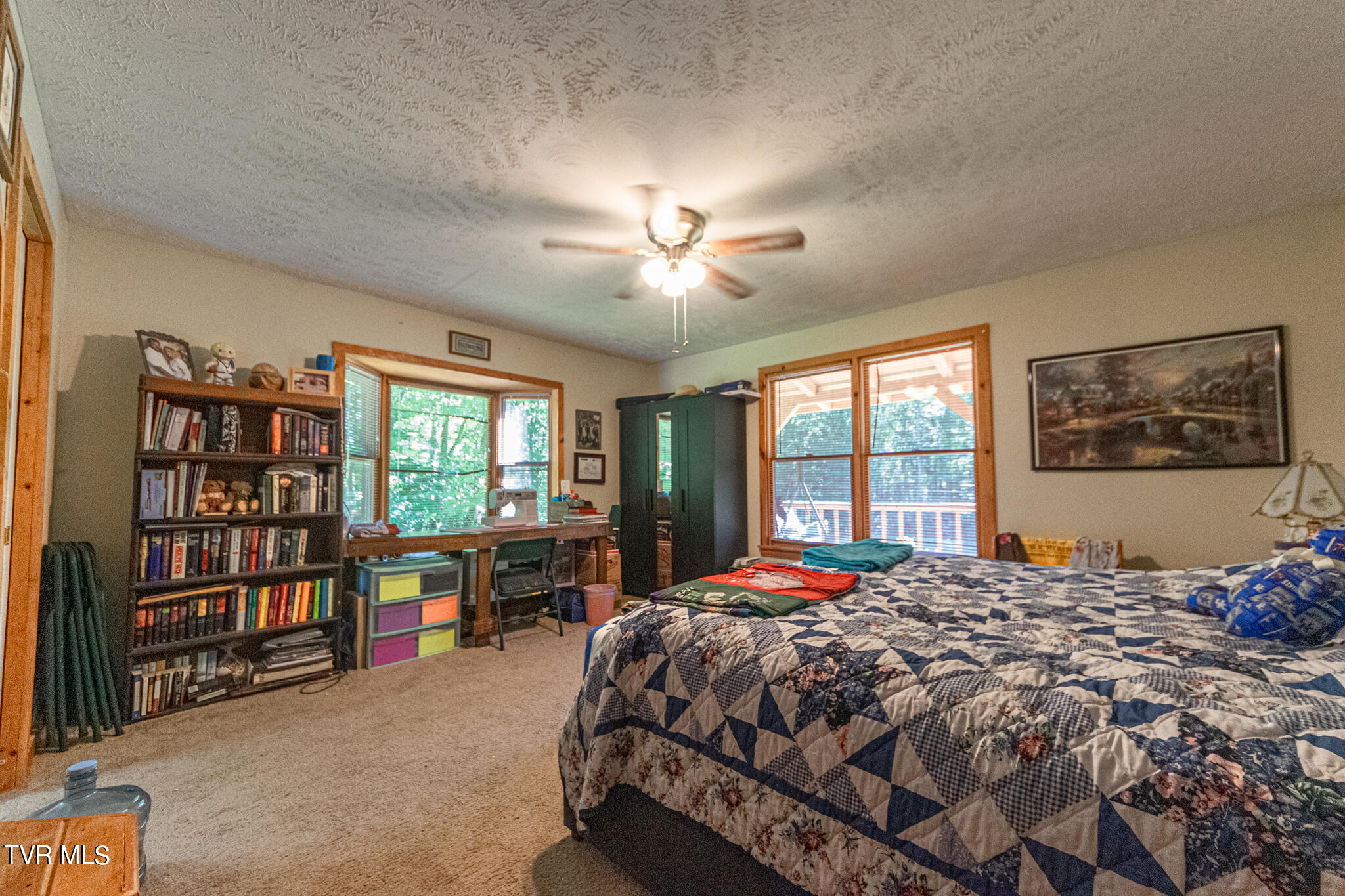 421 Scioto Road Unicoi, TN 37692 - Photo 16 of 25 DSC_0791
