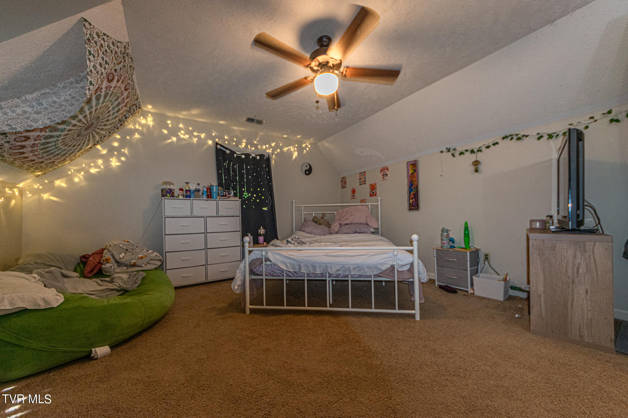 421 Scioto Road Unicoi, TN 37692 - Photo 20 of 25 DSC_0785