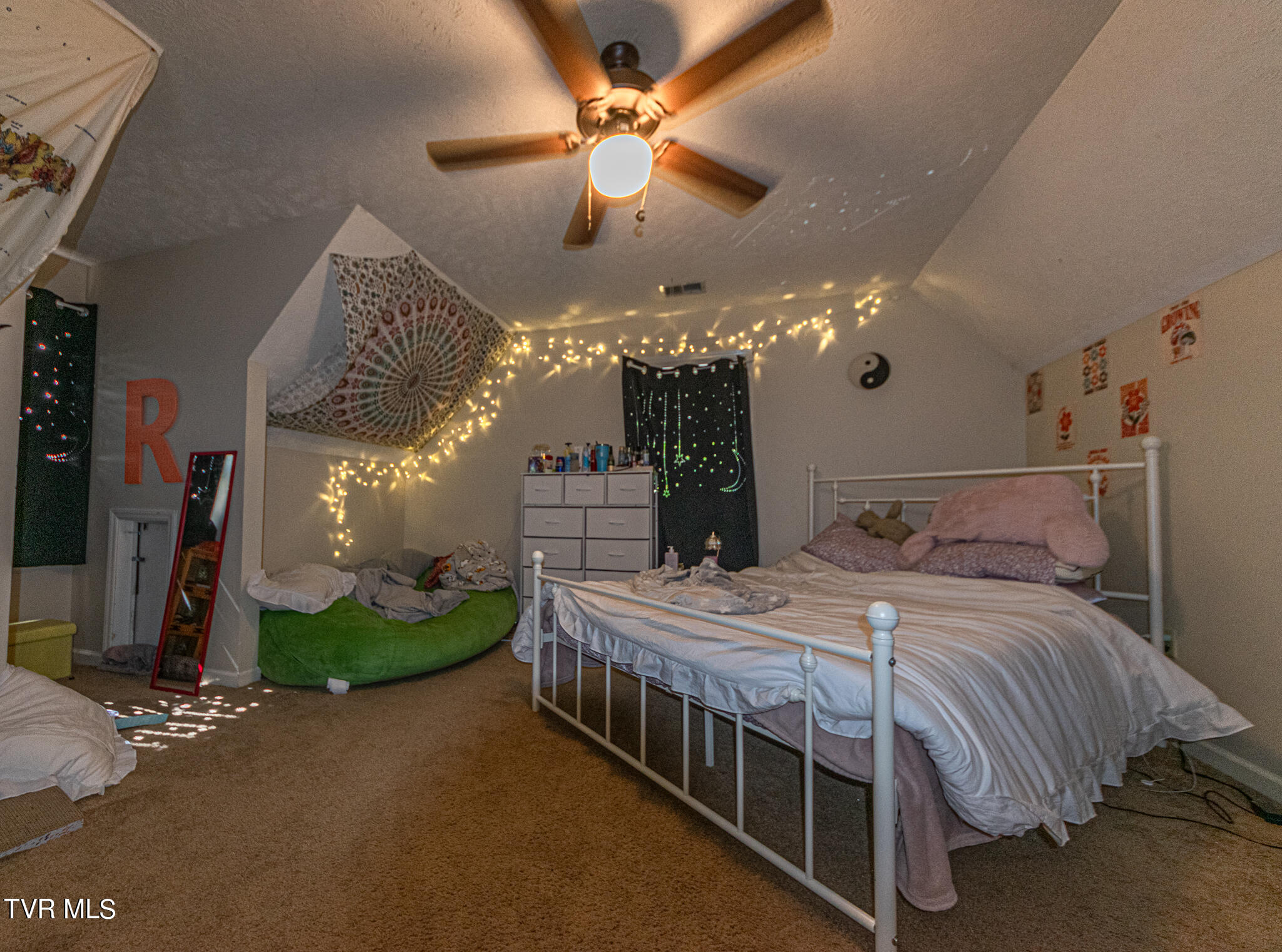 421 Scioto Road Unicoi, TN 37692 - Photo 21 of 25 DSC_0786