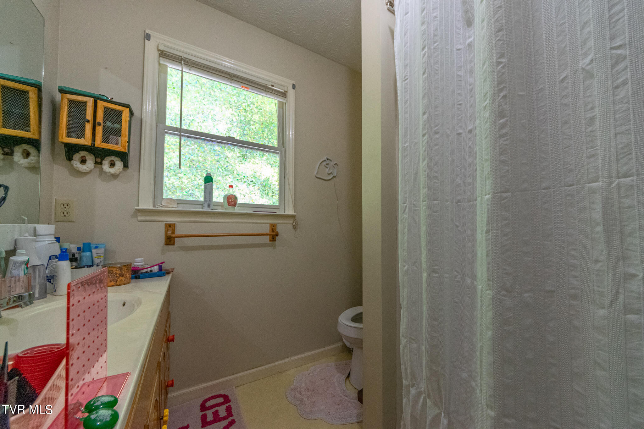421 Scioto Road Unicoi, TN 37692 - Photo 22 of 25 DSC_0787
