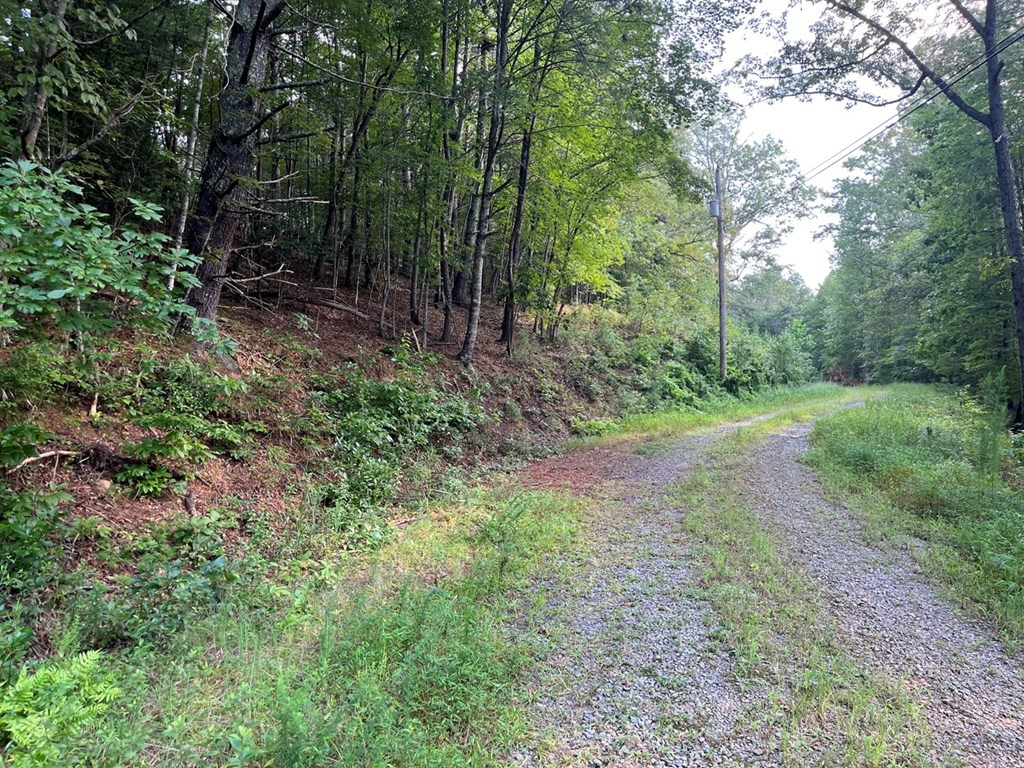 Tbd Robin Road Murphy, NC 28906 - Photo 3 of 17 Gallery Image 3