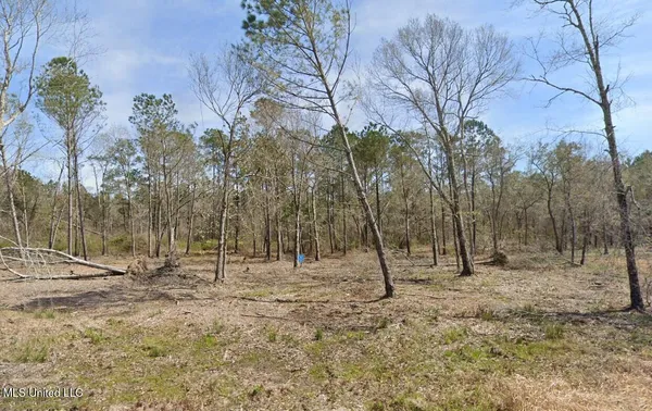 $16,999 | 326 Espy Avenue, Pass Christian, MS 39560