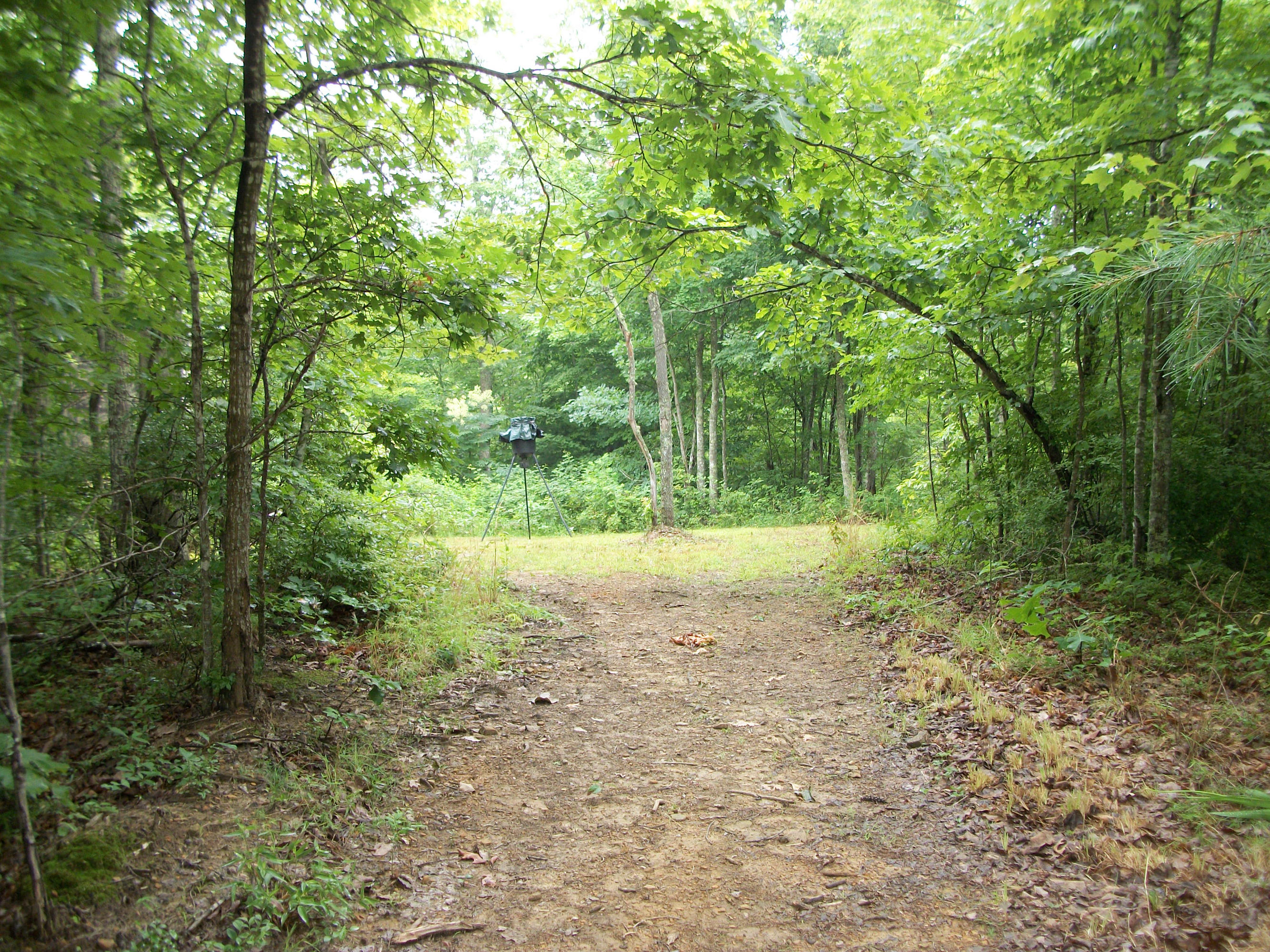 1288 Ridge Top Circle Sunbright, TN 37872 - Photo 13 of 21 Trails