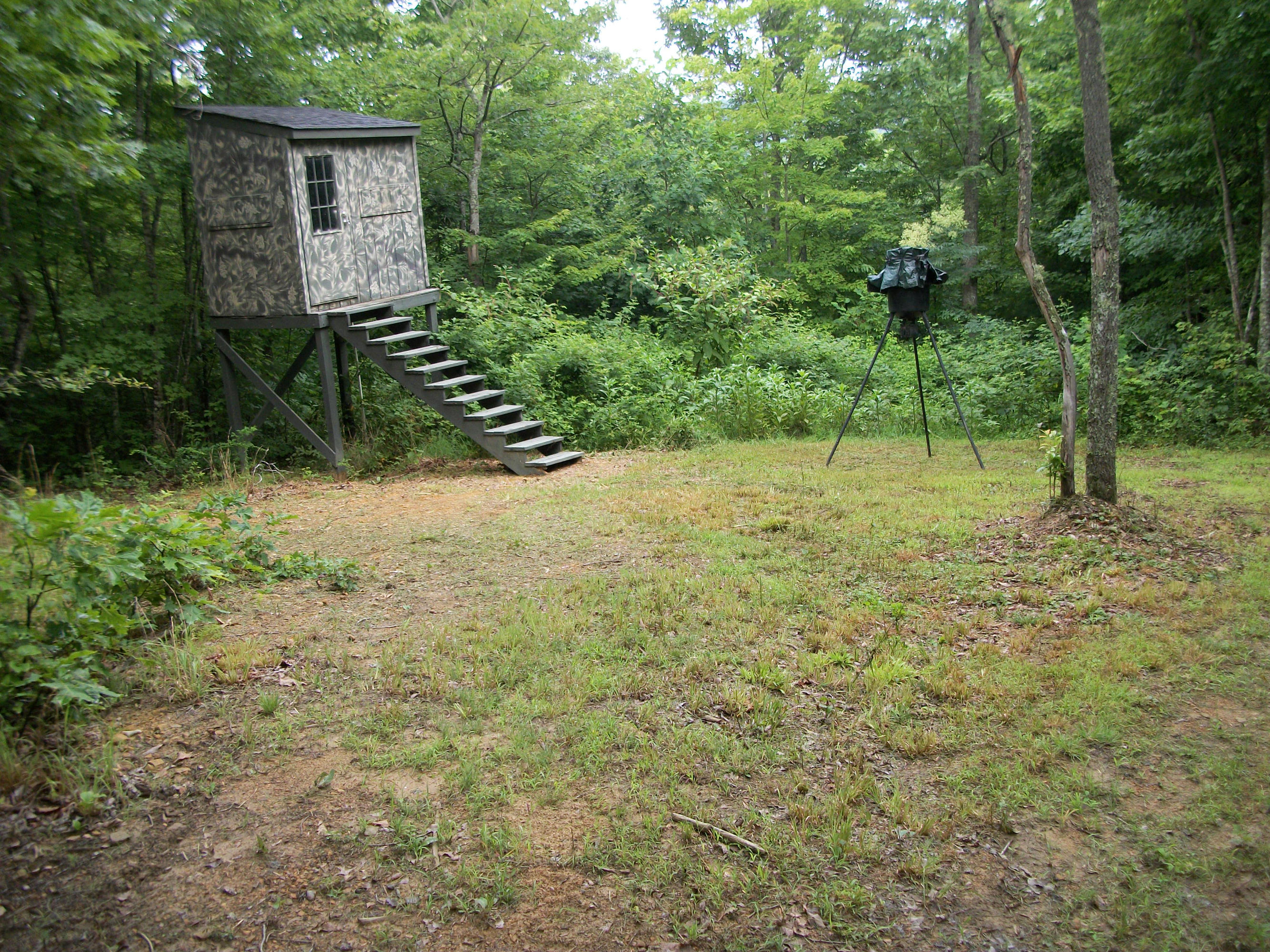 1288 Ridge Top Circle Sunbright, TN 37872 - Photo 14 of 21 Shooting house