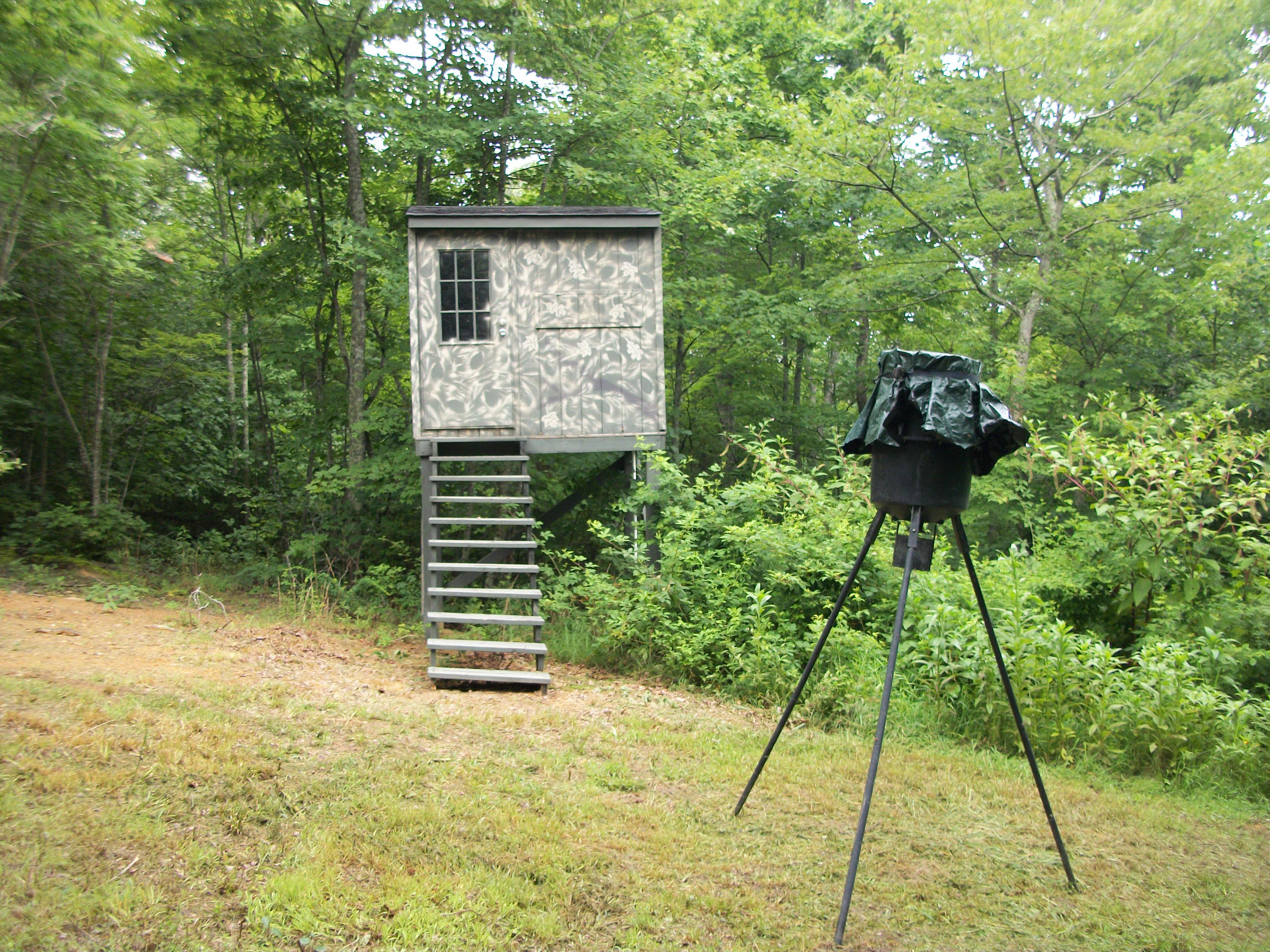 1288 Ridge Top Circle Sunbright, TN 37872 - Photo 15 of 21 Shooting house