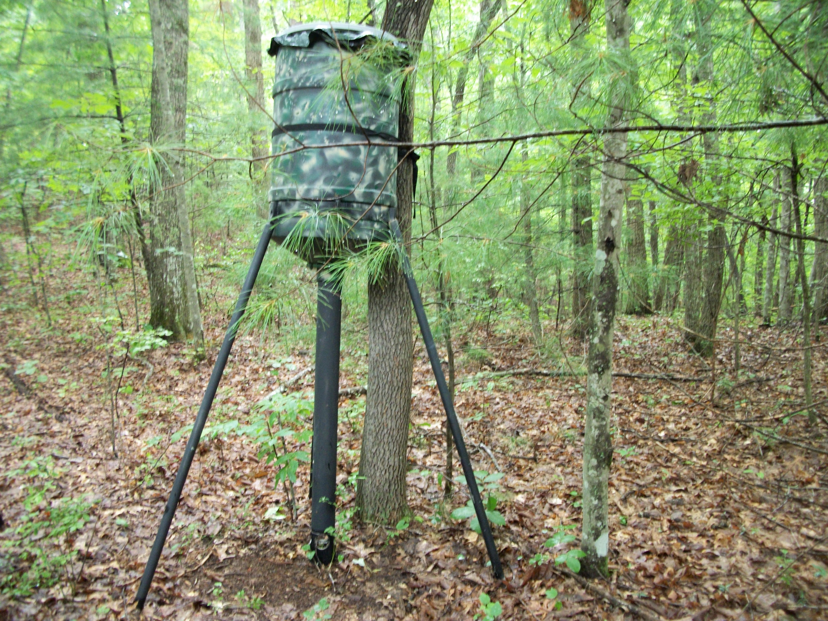 1288 Ridge Top Circle Sunbright, TN 37872 - Photo 16 of 21 Feeder