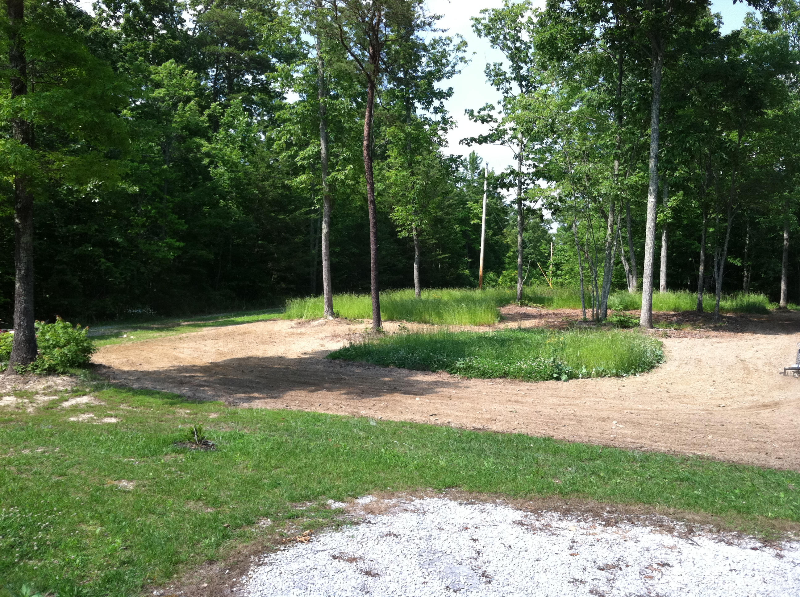 1288 Ridge Top Circle Sunbright, TN 37872 - Photo 17 of 21 Food plot area