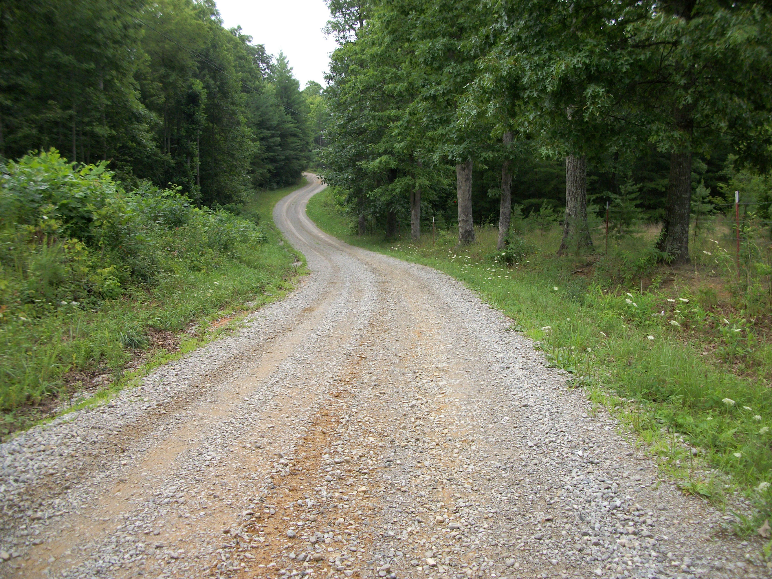 1288 Ridge Top Circle Sunbright, TN 37872 - Photo 18 of 21 Road leaving property