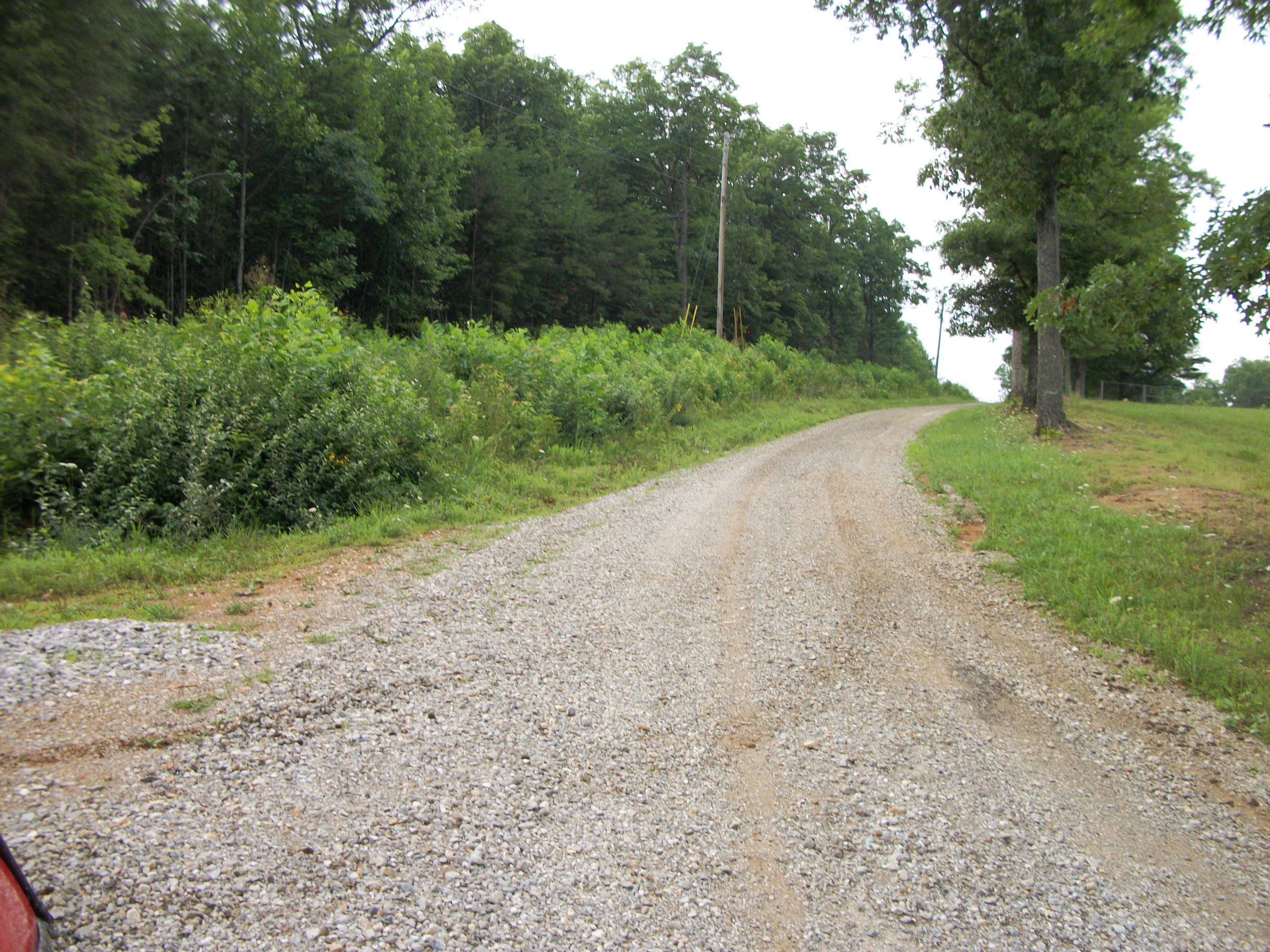 1288 Ridge Top Circle Sunbright, TN 37872 - Photo 21 of 21 100_2533