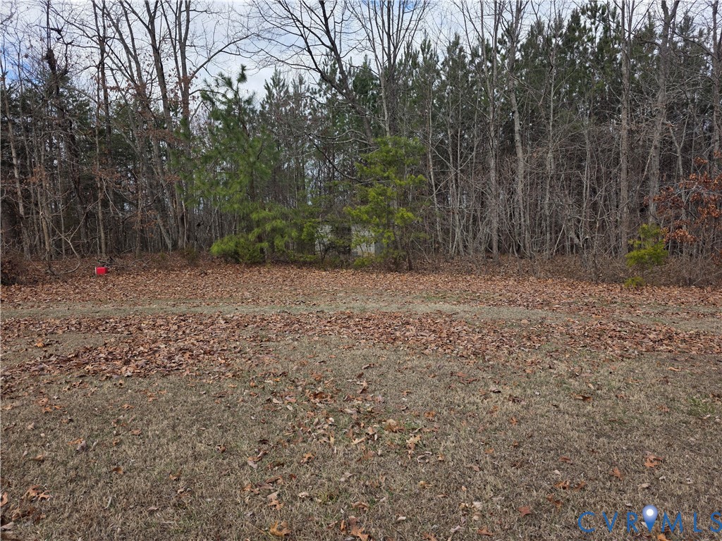 1429 Taro Road Cullen, VA 23934 - Photo 18 of 23 a view of outdoor space with trees