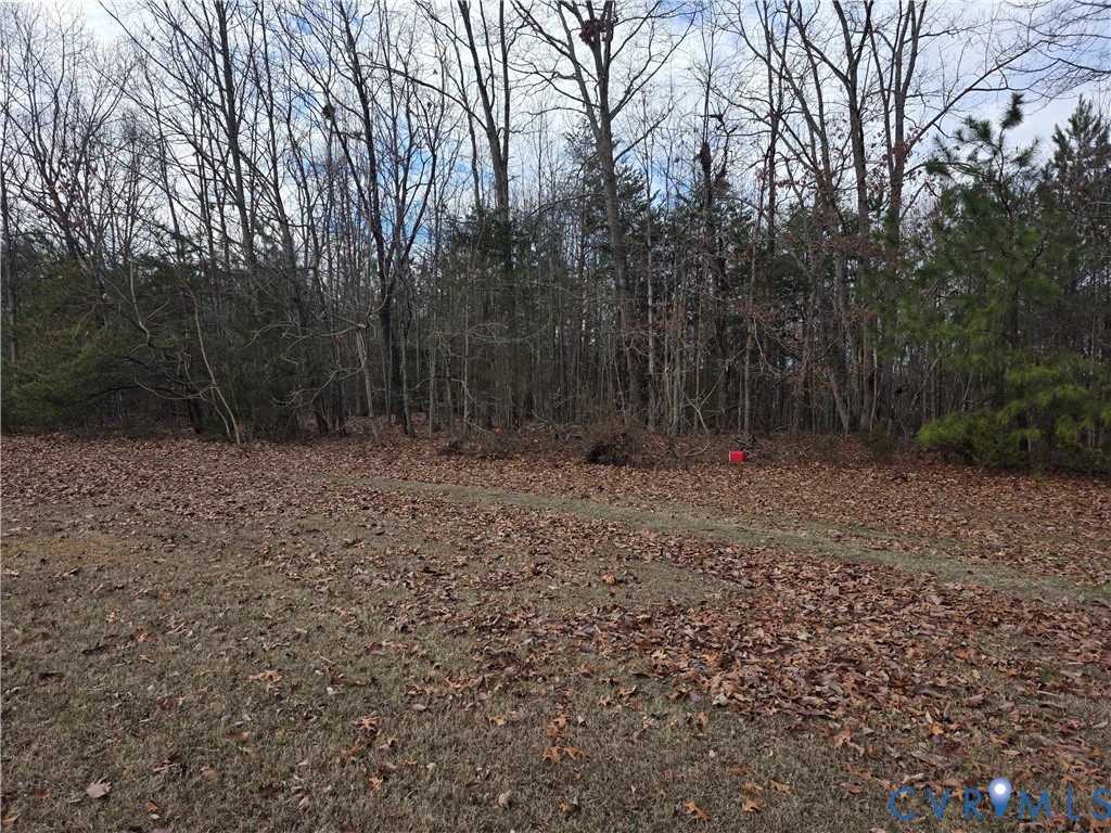 1429 Taro Road Cullen, VA 23934 - Photo 19 of 23 a view of backyard with green space