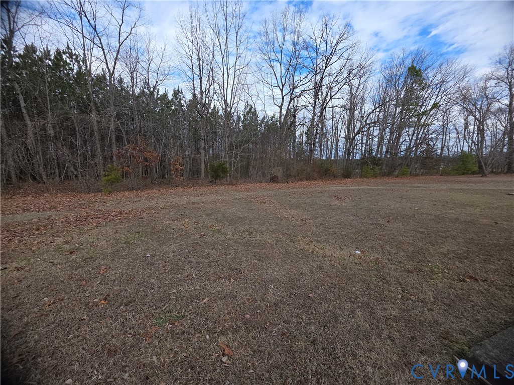 1429 Taro Road Cullen, VA 23934 - Photo 20 of 23 a view of outdoor space and yard