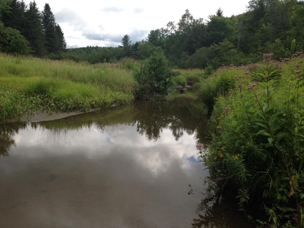 215 Wilkins Road, Unit 1 Fairfax, VT 05454 - Photo 31 of 39
