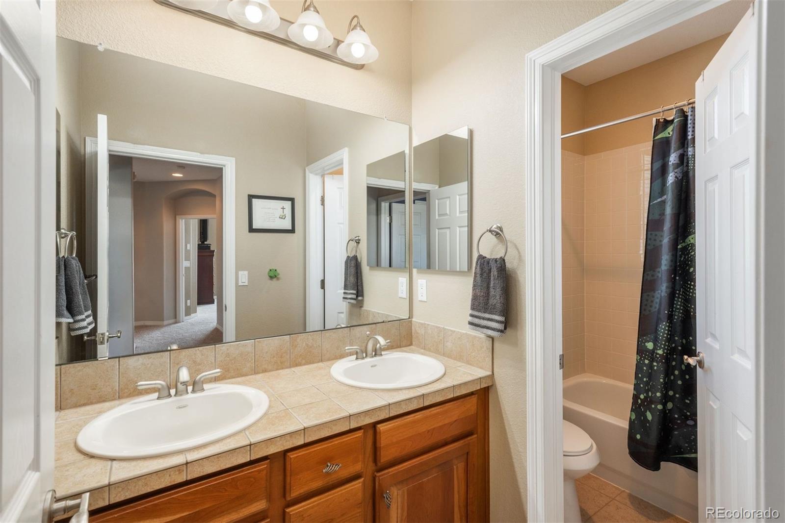 2790 Stonecrest Point Highlands Ranch, CO 80129 - Photo 24 of 50 Gallery Image 24