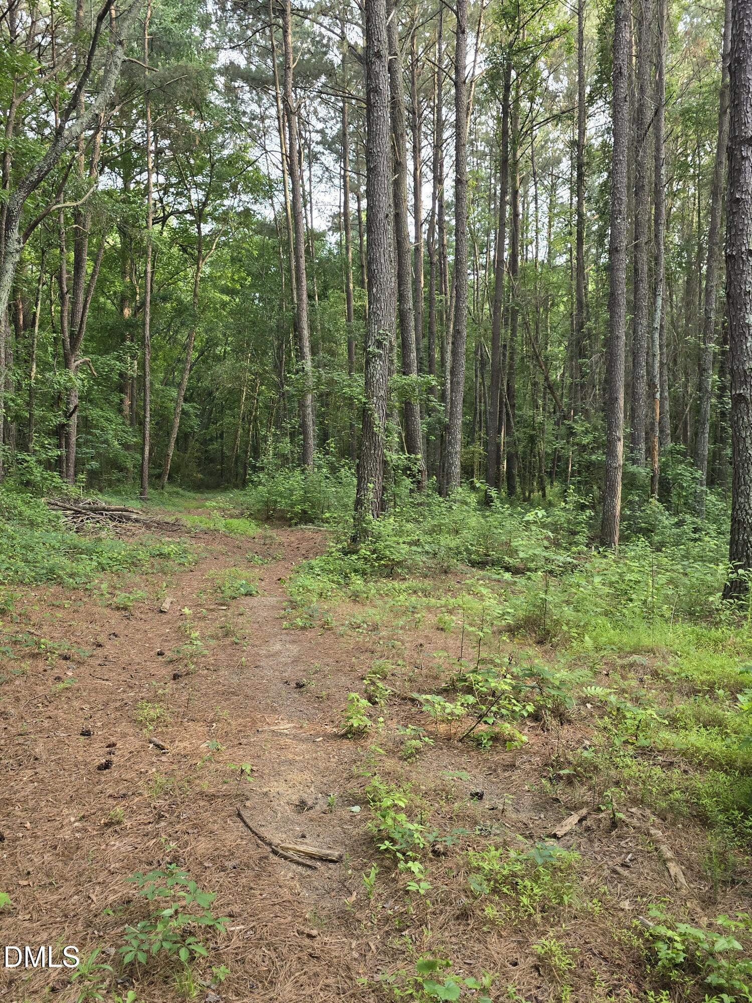 0 Honeycutt Road Willow Spring, NC 27592 - Photo 6 of 18 IMG-20260531-WA0021