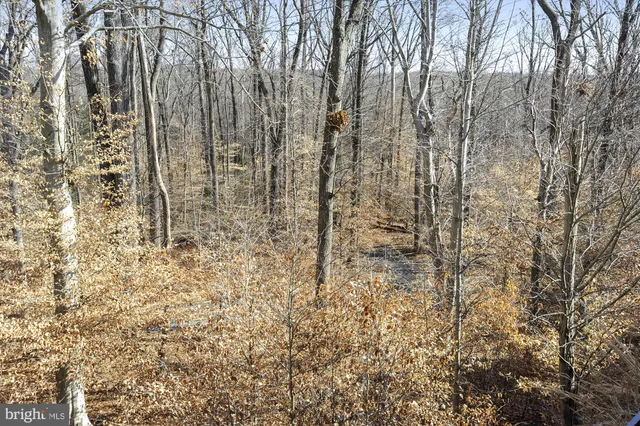 $2,800 | 57 Hunting Creek Lane, Stafford, VA 22556