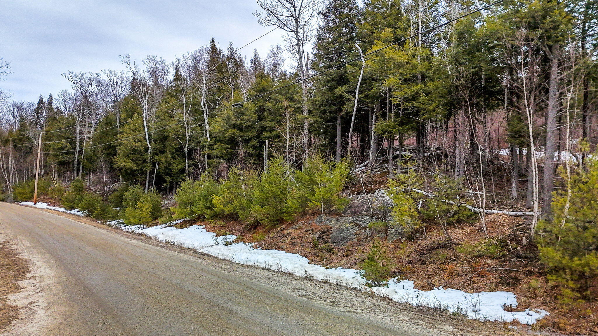 Tbd Thunder Snow Road Bethel, ME 04217 - Photo 10 of 19 15-web-or-mls-DJI_20260319140820_0050_D