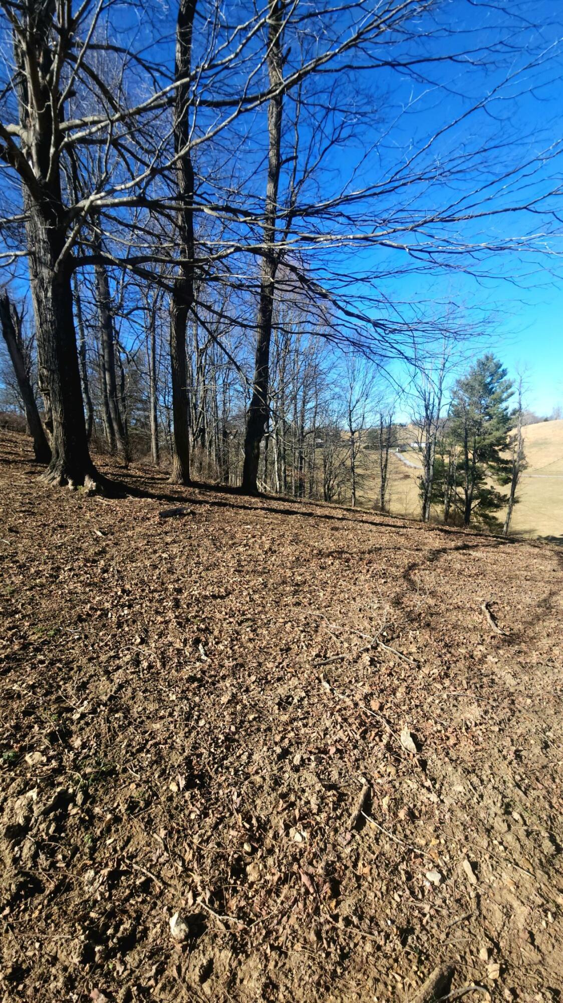 13.607 Crossover Road Ronceverte, WV 24970 - Photo 7 of 30 Gallery Image 7