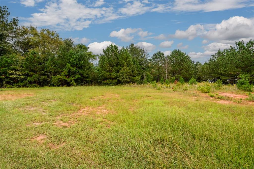 1 Point Drive Pendergrass, GA 30567 - Photo 4 of 14