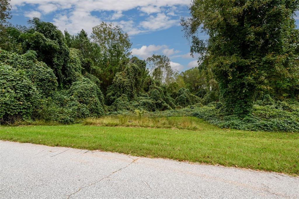 1 Point Drive Pendergrass, GA 30567 - Photo 5 of 14