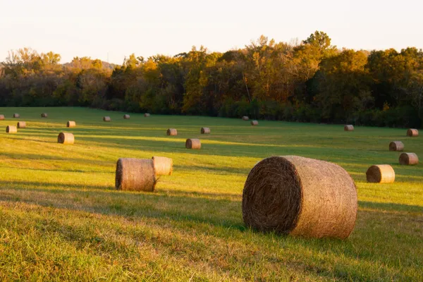 $8,700,000 | 130 Krystal Drive, Chickamauga, GA 30707