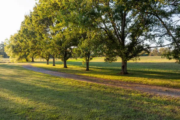 $8,700,000 | 130 Krystal Drive, Chickamauga, GA 30707
