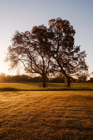 $8,700,000 | 130 Krystal Drive, Chickamauga, GA 30707