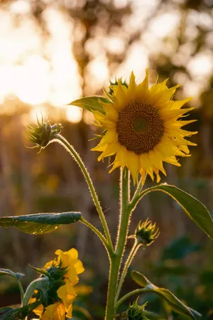 $8,700,000 | 130 Krystal Drive, Chickamauga, GA 30707