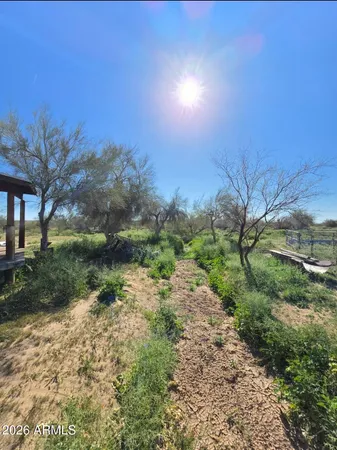 a view of a yard with a tree