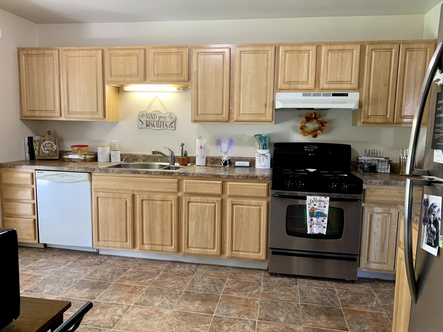 362 Cleveland Avenue Rochelle, IL 61068 - Photo 6 of 12 a kitchen with stainless steel appliances a stove a sink and a cabinets