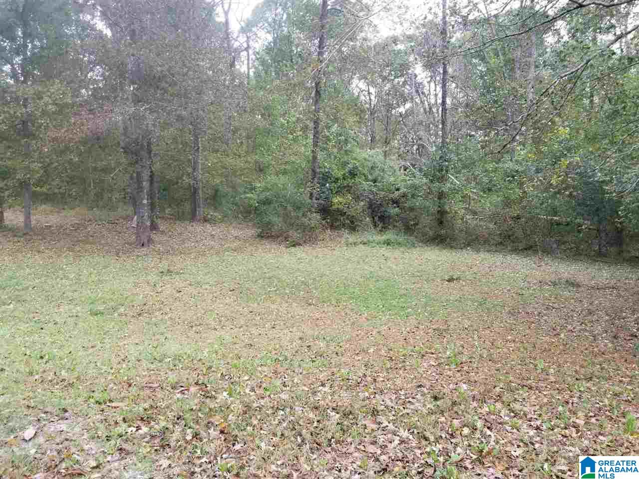 7950 Stemley Bridge Road Talladega, AL 35160 - Photo 2 of 22