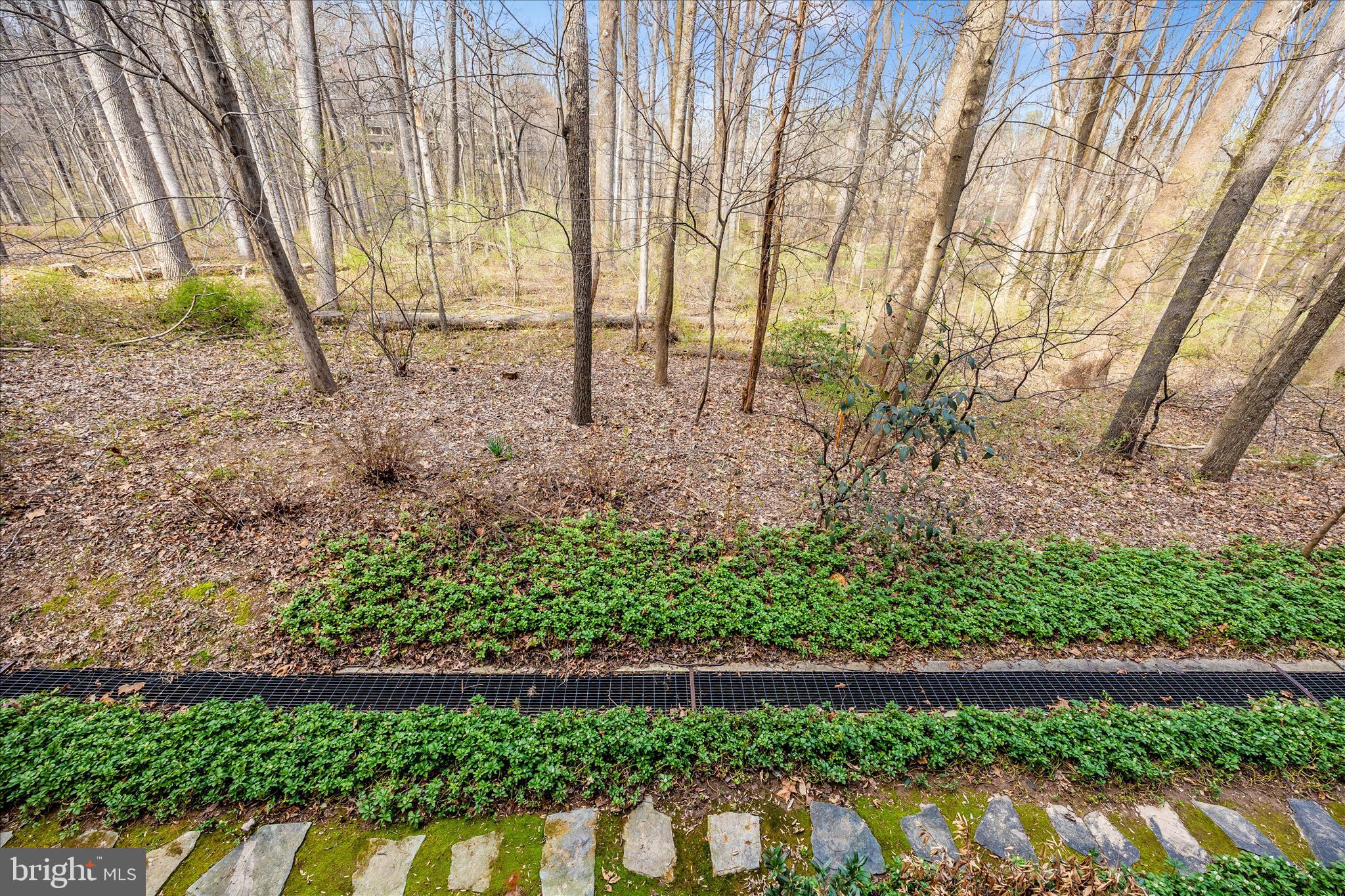 125 Timberbrook Lane, Unit 102 Gaithersburg, MD 20878 - Photo 26 of 38 a view of backyard with green space