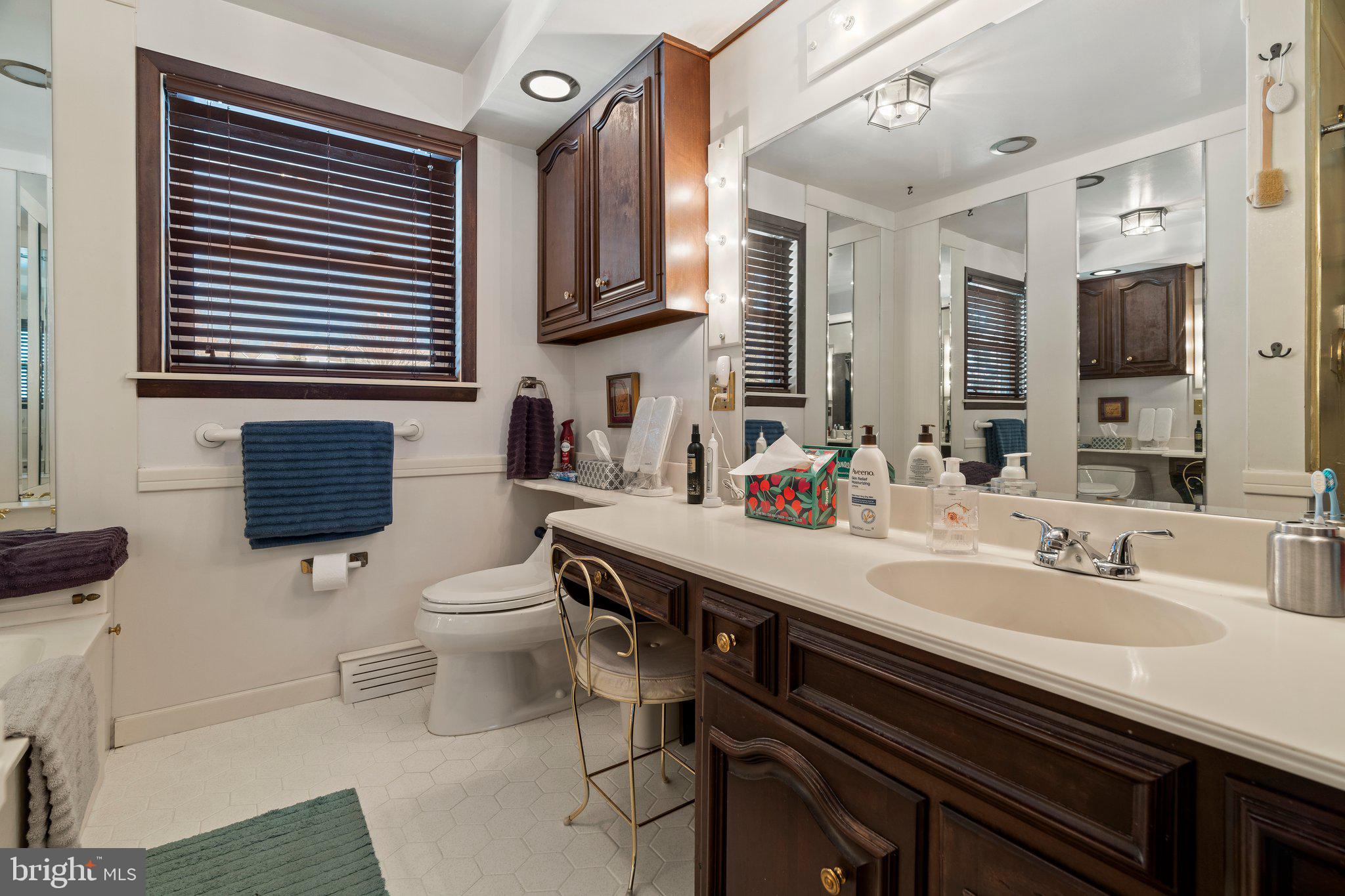 694 Egypt Road Phoenixville, PA 19460 - Photo 16 of 38 a bathroom with a sink a toilet and mirror