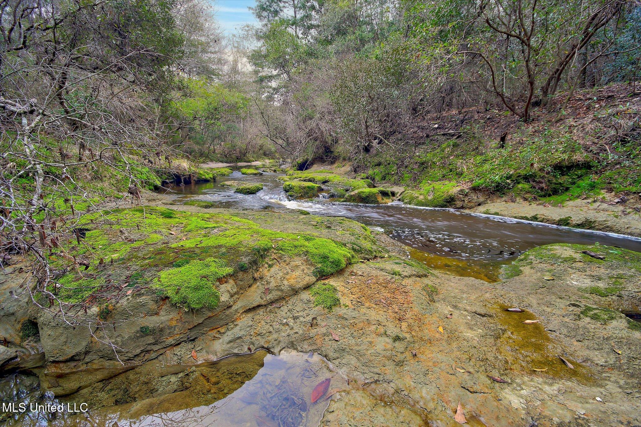 22445 Road 374 Kiln, MS 39556 - Photo 17 of 28 15-Creek