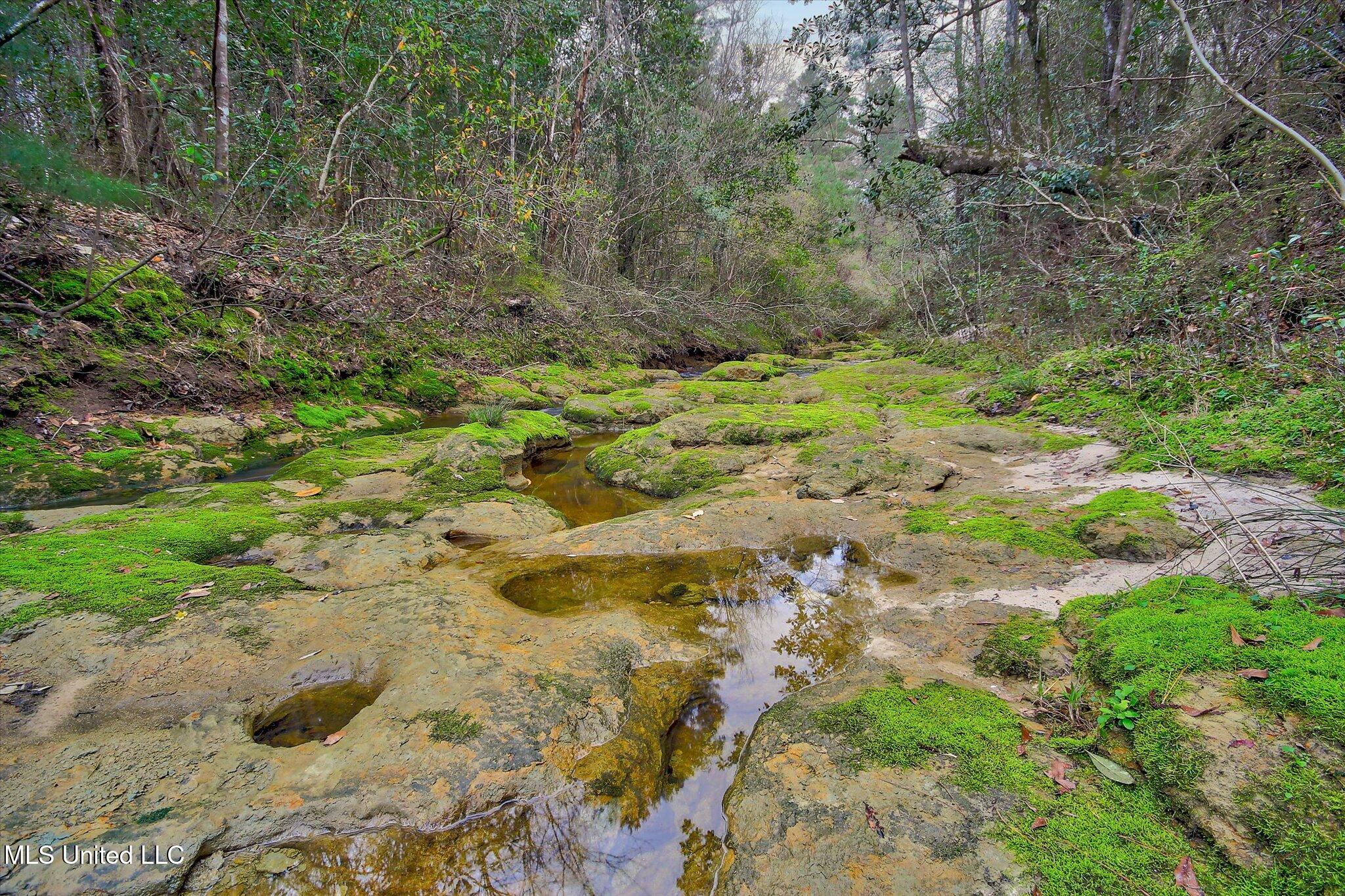 22445 Road 374 Kiln, MS 39556 - Photo 19 of 28 17-Creek