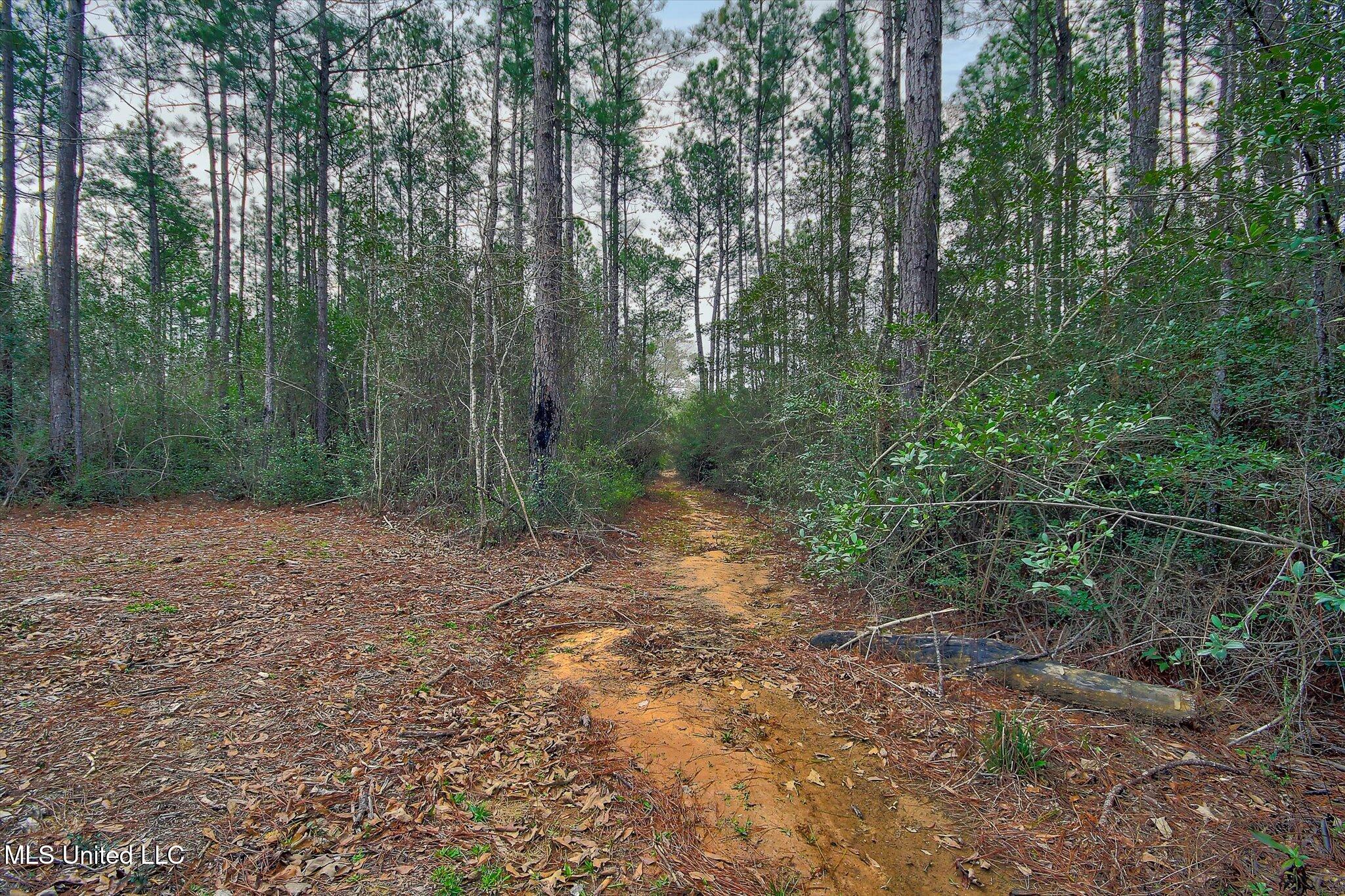 22445 Road 374 Kiln, MS 39556 - Photo 23 of 28 23-Woods